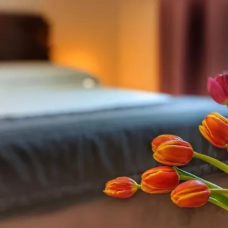 Next Palace Apartamento Roma